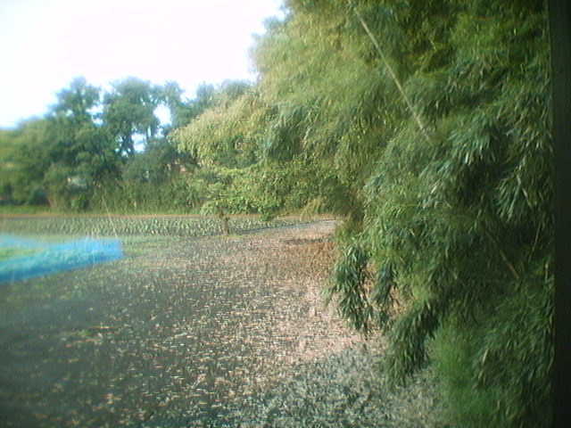  ���ւ̑����� 