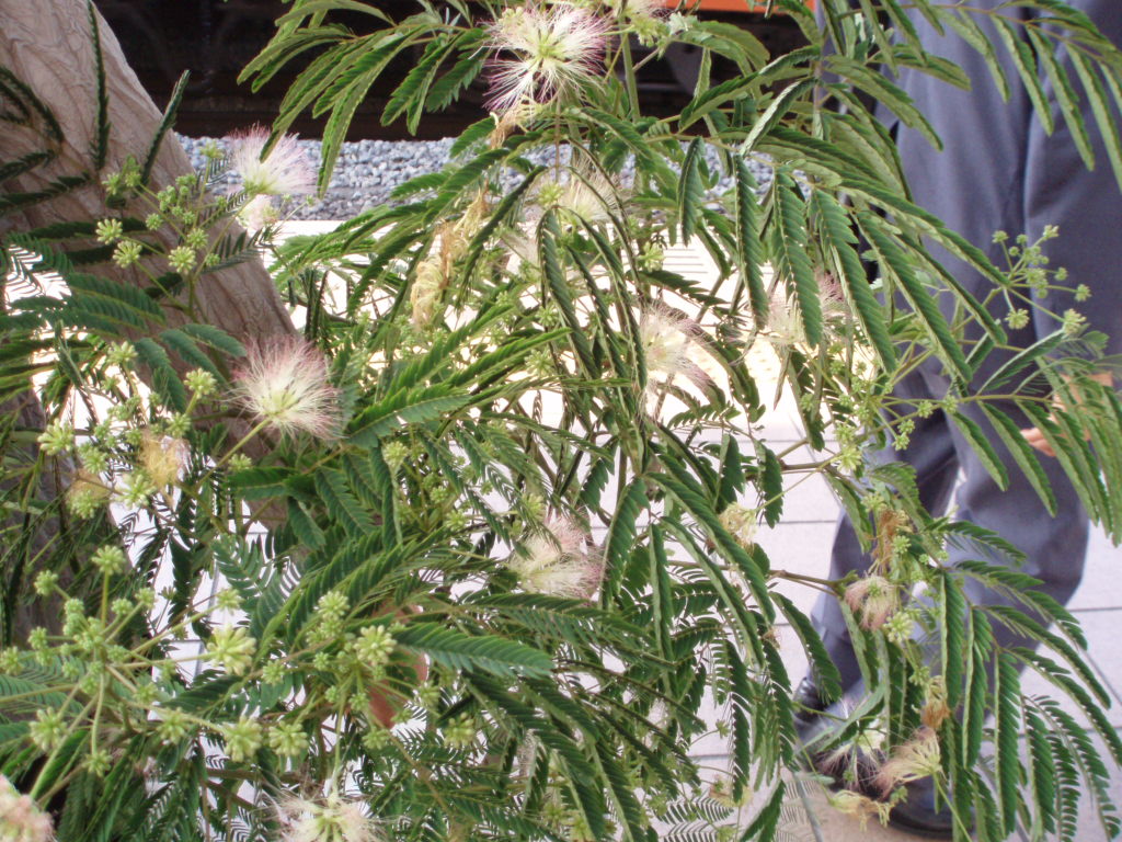 �@�l���m�L�@