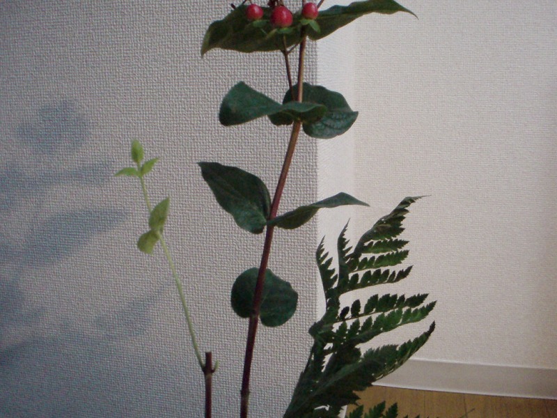 �@�����I�@