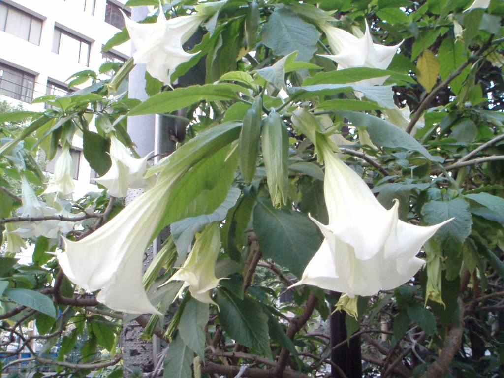  �S�͕̂����ł���A�����͑S�̂ł��� 